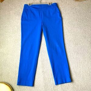 Soft Surroundings Tummy Control Panel Pull On Stretch Ankle Pants Size Large